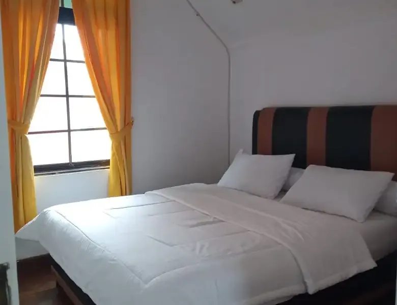 Galeri Full