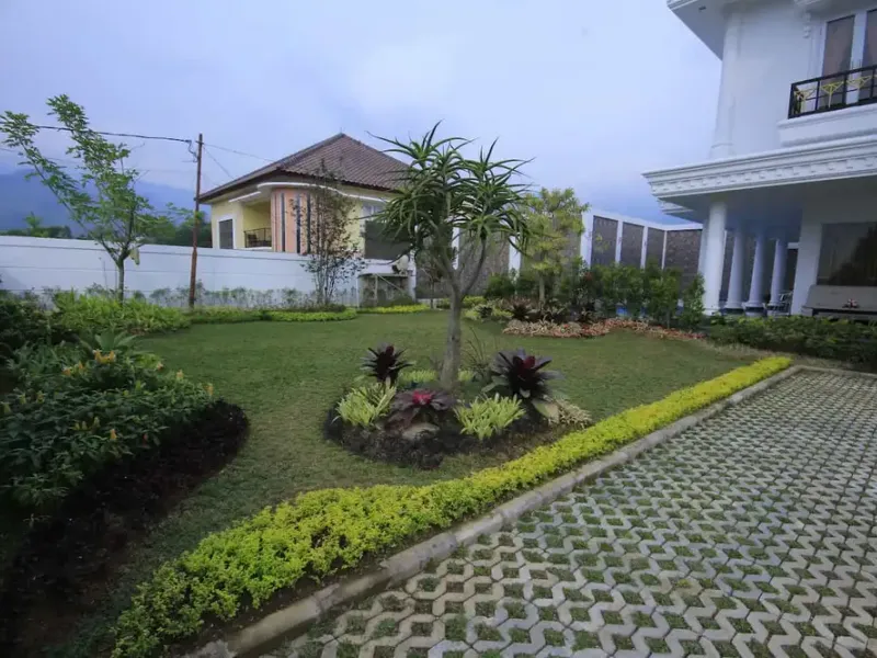 Galeri Full