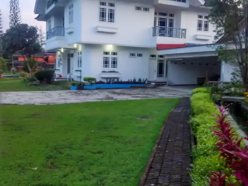 Galeri Full