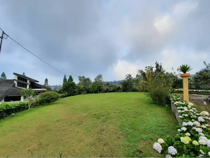 Galeri Full