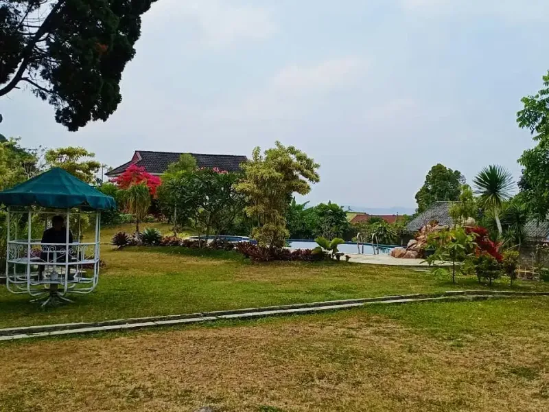 Galeri Full