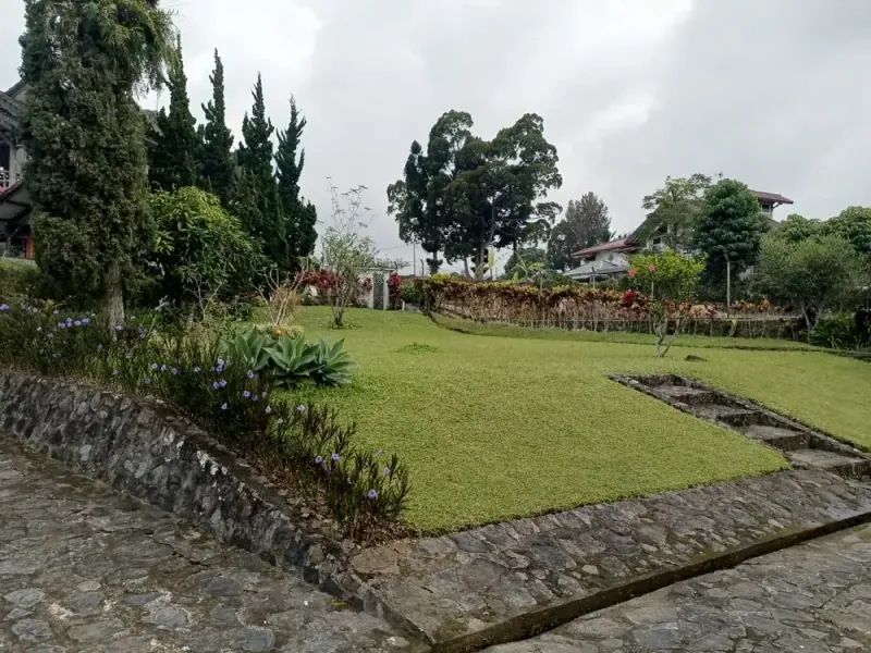 Galeri Full