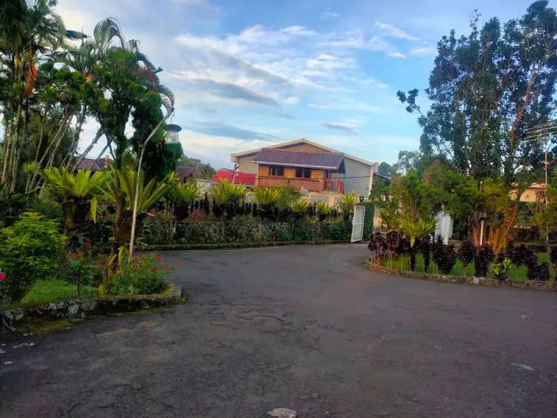 Galeri Full