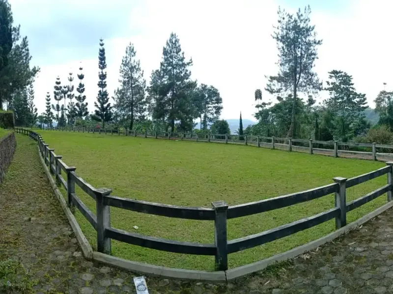 Galeri Full