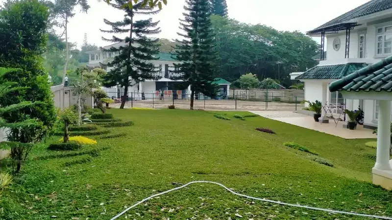Galeri Full