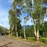 Gallery Villa Truly 2 Kota Bunga